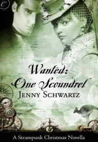 Schwartz Jenny — Wanted- One Scoundrel