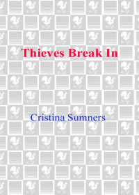 Sumners Cristina — Thieves Break In