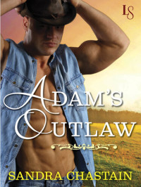 Sandra Chastain — Adam's Outlaw: A Loveswept Classic Romance