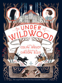 Meloy Colin — Under Wildwood