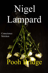 Lampard Nigel — Pooh Bridge: conscience stricken