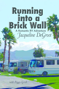 DeGroot Jacqueline — Running Into A Brick Wall