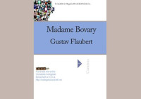 Flaubert — madamebovary