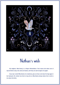 Laurie Lears; Illustrated short stories — Nathan's Wish: A Story about Cerebral Palsy
