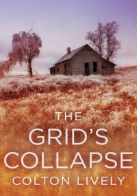 Colton Lively — The Grid's Collapse