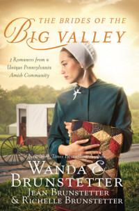 Wanda E. Brunstetter, Jean Brunstetter, Richelle Brunstetter — The Brides of the Big Valley: 3 Romances from a Unique Pennsylvania Amish Community