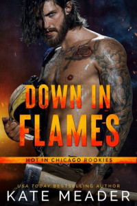 Kate Meader — Down in Flames