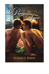 Davis, Elizah J — Promise of Snow