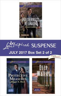 Elizabeth Goddard; Maggie K. Black; Jessica R. Patch — Harlequin Love Inspired Suspense July 2017 - Box Set 2 of 2