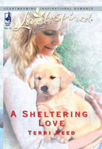 Terri Reed — A Sheltering Love