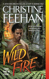 Feehan Christine — Wild Fire