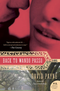 David Payne — Back to Wando Passo