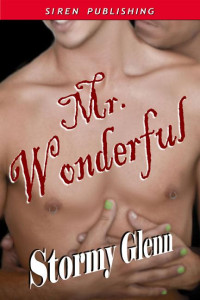 Glenn Stormy — Mr. Wonderful