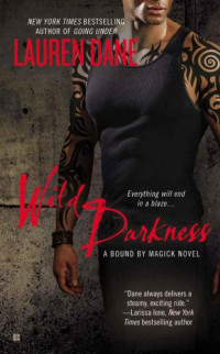 Dane Lauren — Wild Darkness