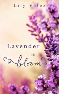 Velez Lily — Lavender in Bloom