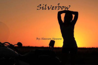 Simmons Shannon — Silverbow