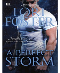 Foster Lori — A Perfect Storm