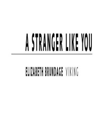 Brundage Elizabeth — A Stranger Like You