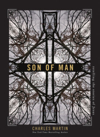Charles Martin — Son of Man: Retelling the Stories of Jesus