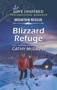 Cathy McDavid — Blizzard Refuge