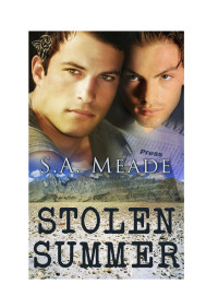 Meade, S A — Stolen Summer