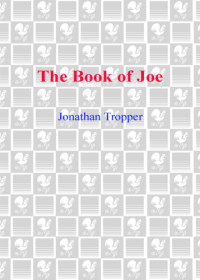 Tropper Jonathan — the Book of Joe