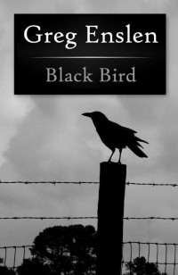 Enslen Greg — Black Bird