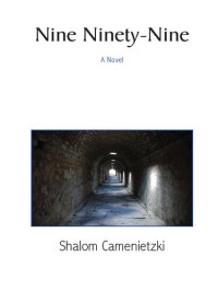 Shalom Camenietzki — Nine Ninety Nine