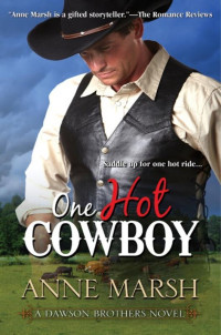 Marsh Anne — One Hot Cowboy