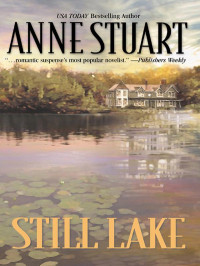 Stuart Anne — Still Lake