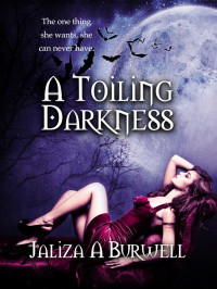 Burwell Jaliza — A Toiling Darkness