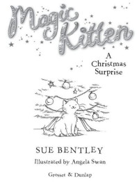 Sue Bentley — A Christmas Surprise