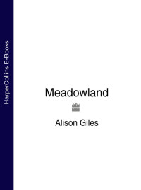 Giles Alison — Meadowland