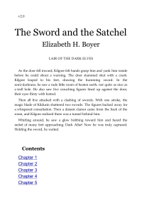 Boyer Elizabeth — The Sword And The Satchel