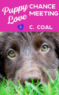 C. Coal — Puppy Love Chance Meeting