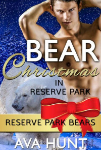 HUNT AVA — BEAR CHRISTMAS IN RESERVE PARK