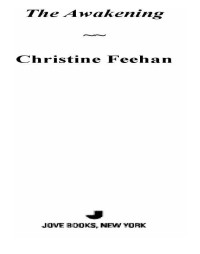 Feehan Christine — The Awakening