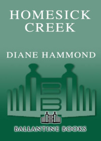 Hammond Diane — Homesick Creek