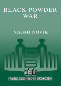 Novik Naomi — Black Powder War