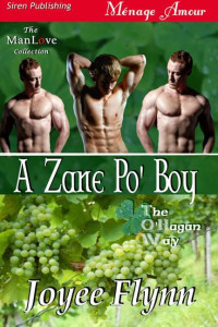 Flynn Joyee — A Zane Po' Boy