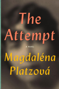 Platzova Magdalena — The Attempt