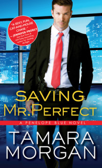 Morgan Tamara — Saving Mr. Perfect