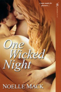 Mack Noelle — One Wicked Night