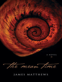 James Matthews — The Mean Time