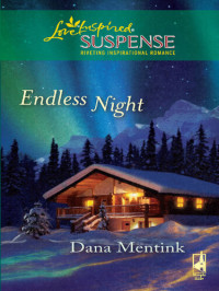 Dana Mentink — Endless Night