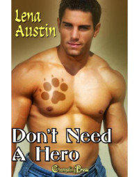 Austin Lena — Don't Need a Hero