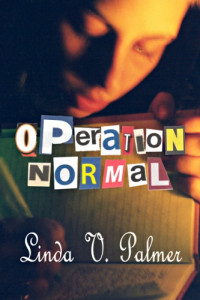 Palmer, Linda V — Operation: Normal