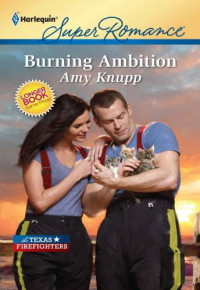 Knupp Amy — Island Fire 4-Firestorm aka Burning Ambition