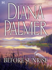 Palmer Diana — Before Sunrise