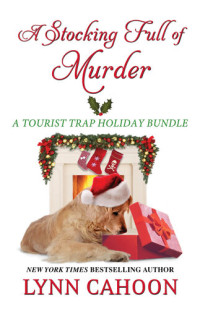 Lynn Cahoon — A Stocking Full of Murder (Tourist Trap Holiday Bundle)